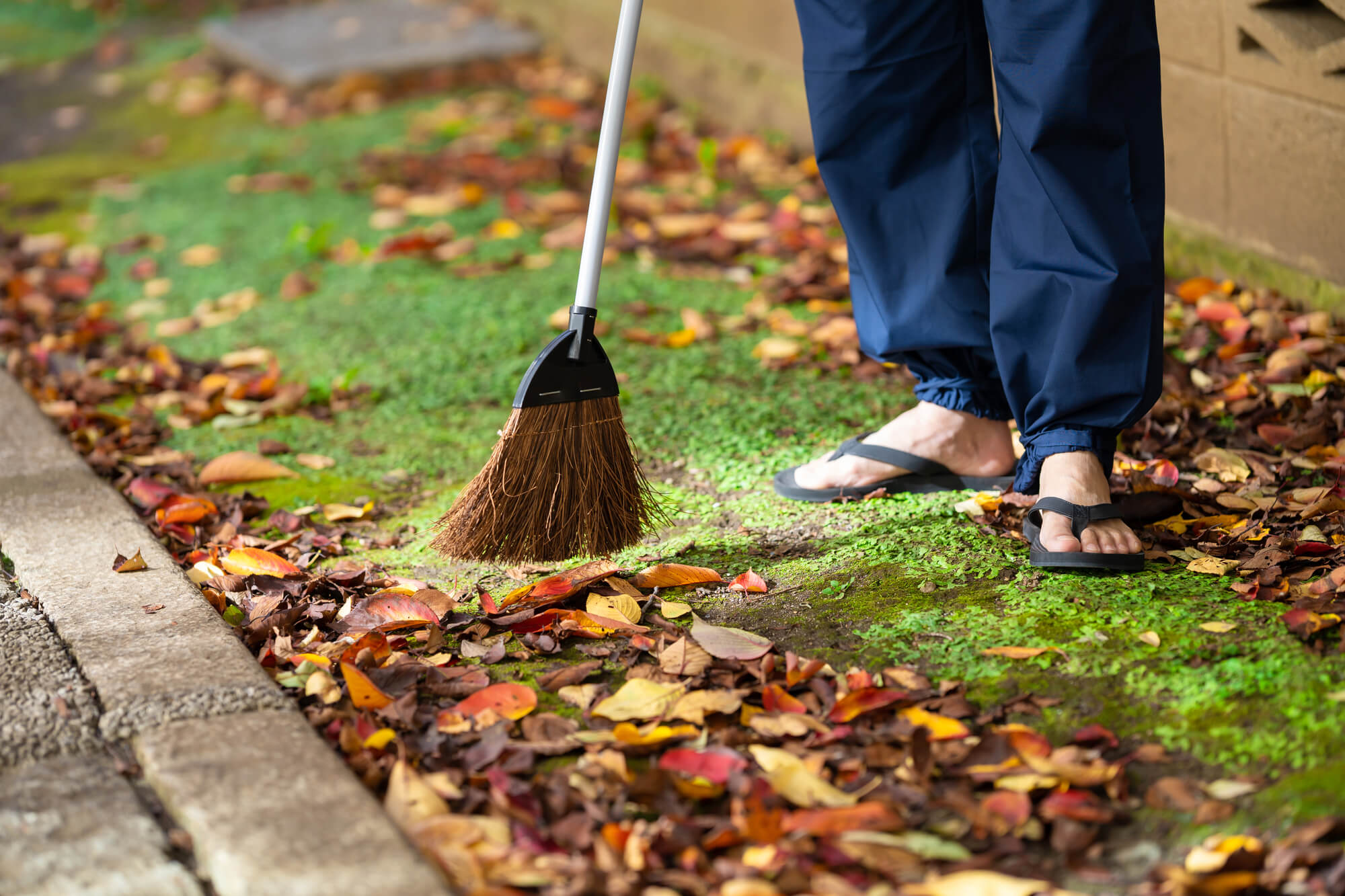 落ち葉の掃除を効率よく行なう方法